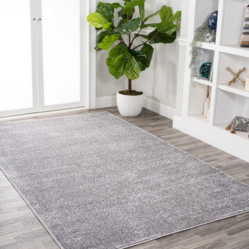 Haze Solid Low-pile Area Rug Gray